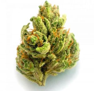 Buy Chemdawg Online