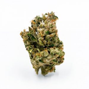 Jack Herer