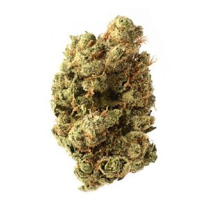 Buy Weed Online Australia - Home - 420 DailyHighClub